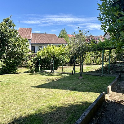 Chalet independiente con jardin, garaje, terraza y dos locales comerciales.