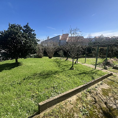 Chalet independiente con jardin, garaje, terraza y dos locales comerciales.