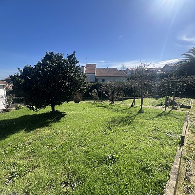 Chalet independiente con jardin, garaje, terraza y dos locales comerciales.