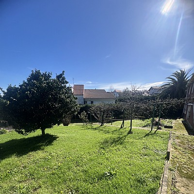 Chalet independiente con jardin, garaje, terraza y dos locales comerciales.