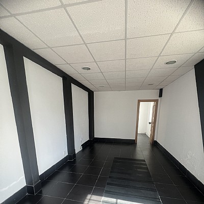Chalet independiente con jardin, garaje, terraza y dos locales comerciales.