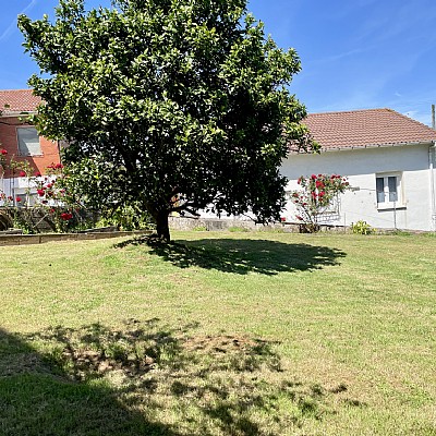 Chalet independiente con jardin, garaje, terraza y dos locales comerciales.
