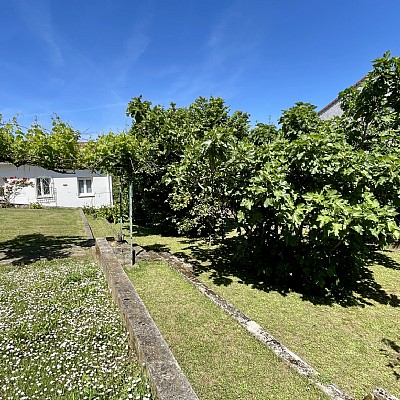 Chalet independiente con jardin, garaje, terraza y dos locales comerciales.