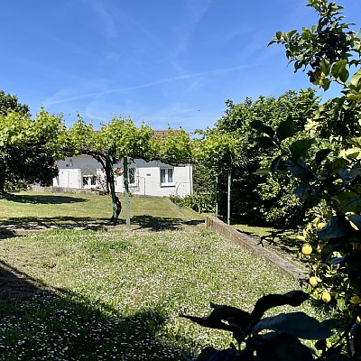 Chalet independiente con jardin, garaje, terraza y dos locales comerciales.