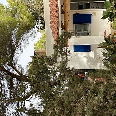 Casa independiente de 3 habitaciones con parcela de 1300 metros en Formentera