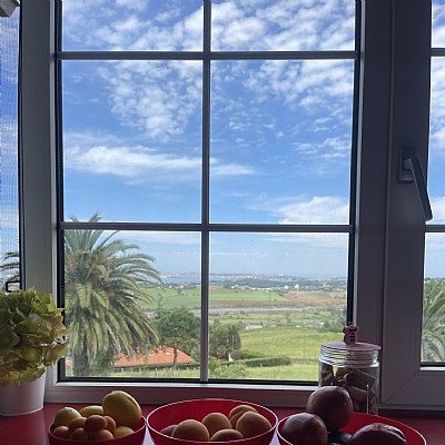 Chalet independiente con una parcela de 5000 metros, y unas impresionantes vistas a la bahia de Santander