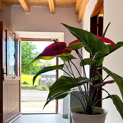 casa reformada con encanto en Puente Arce