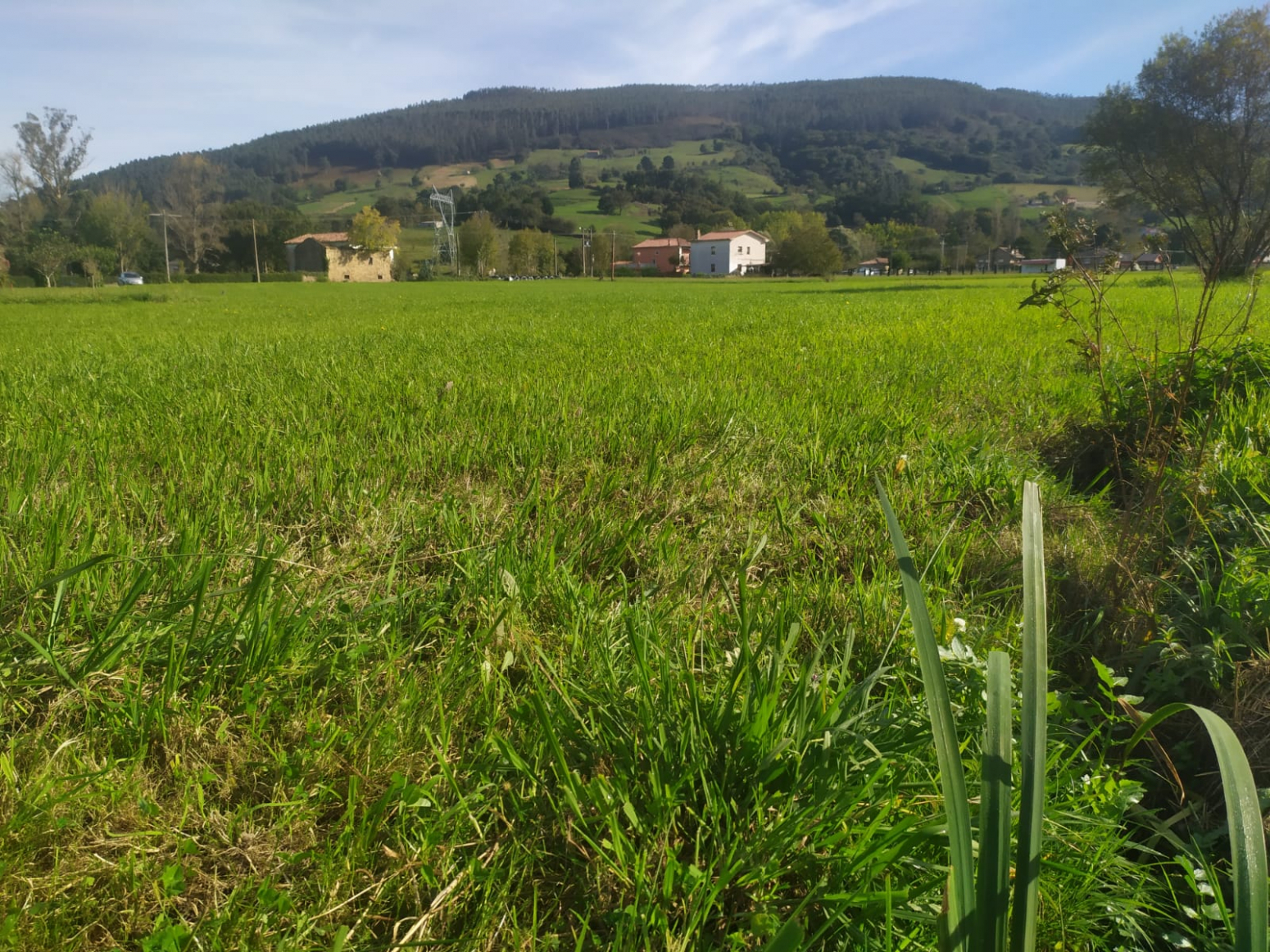 Casa en Berzosilla para reformar