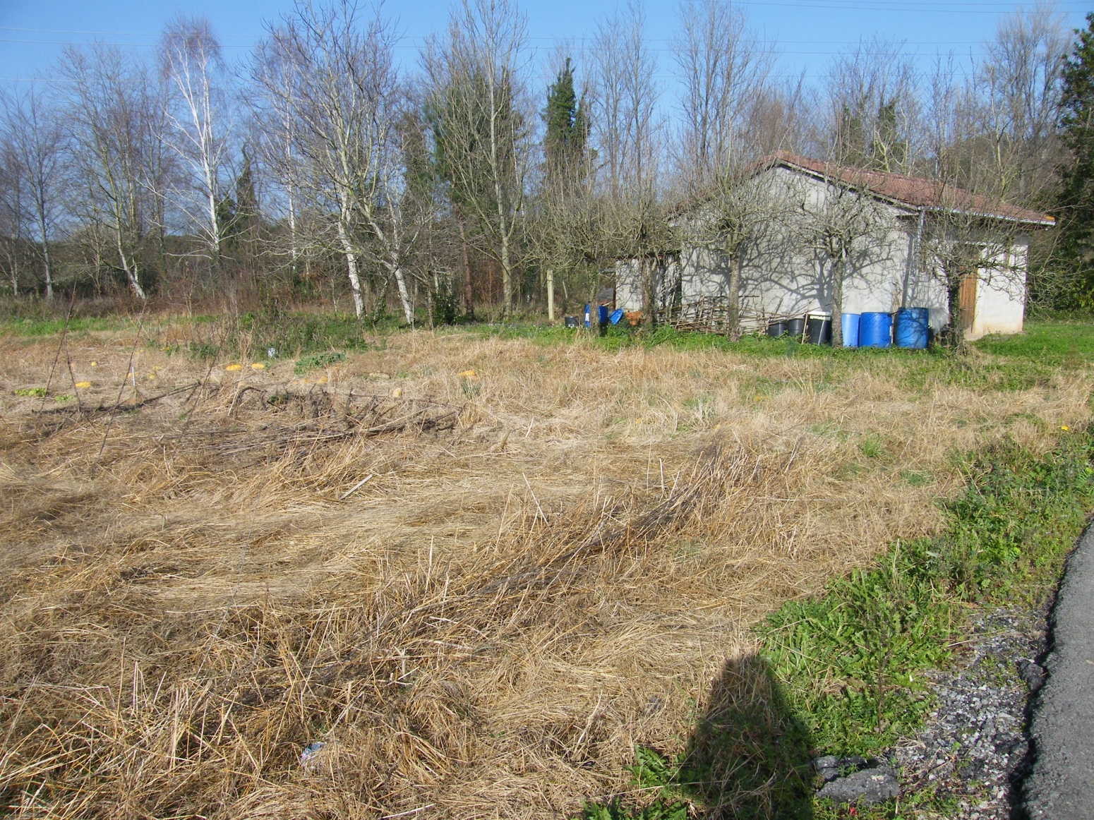 FINCA CON CABAÑA