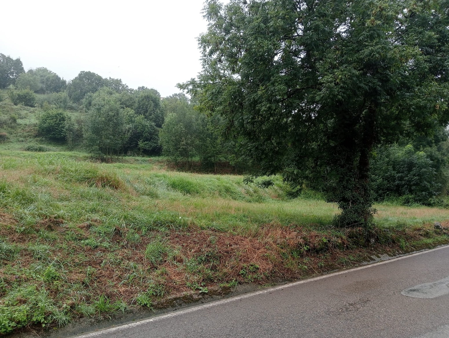 FINCA RUSTICA DE 9351 m² EN VILLACARRIEDO