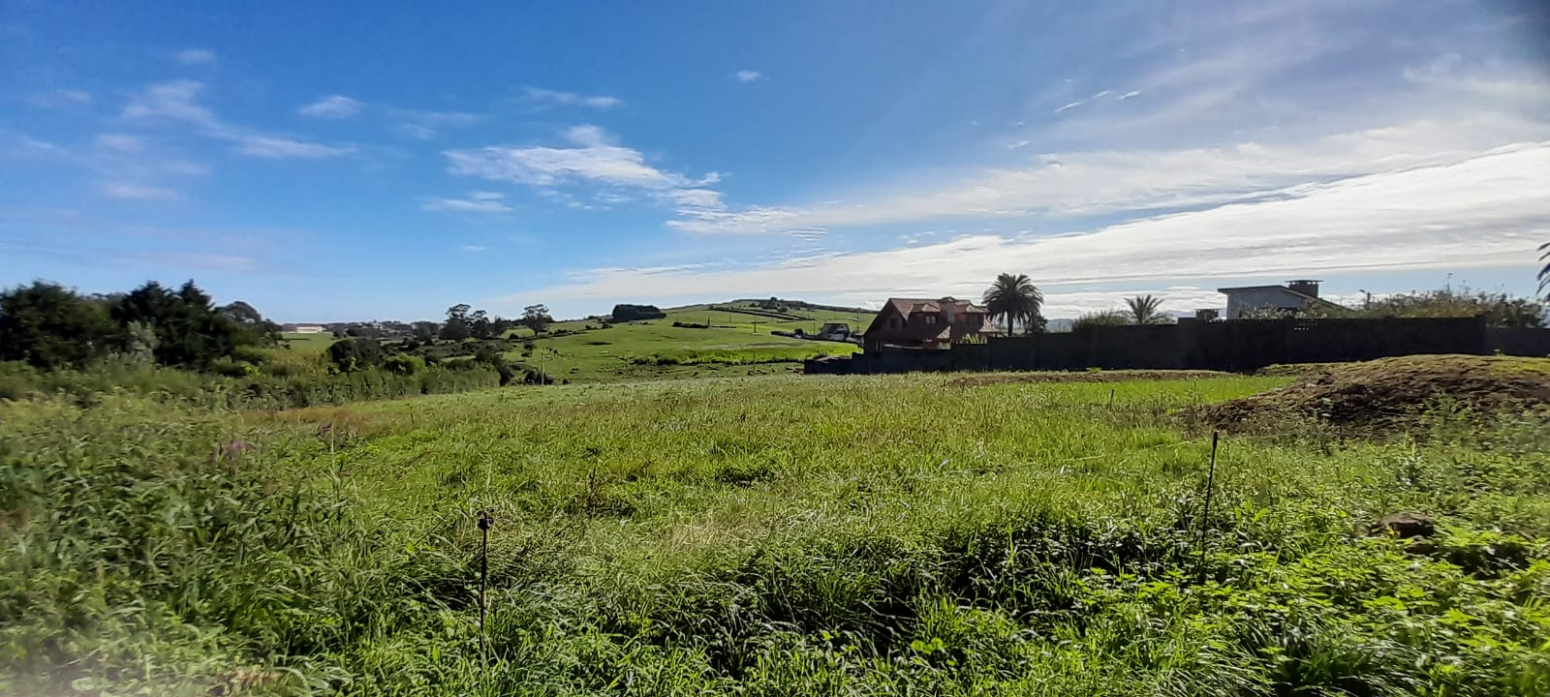 FINCA URBANA EN ONGAYO DE 6.162 M²
