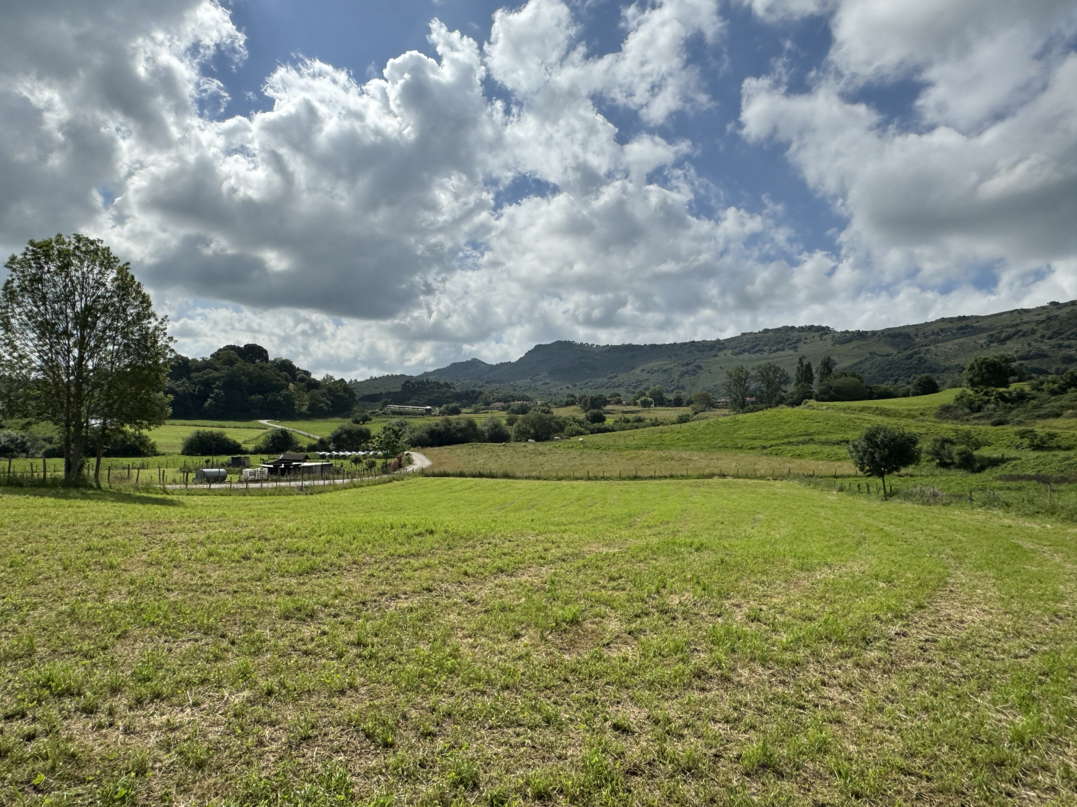 PARCELA DE 4.950m2 EN PAMANES-LIERGANES