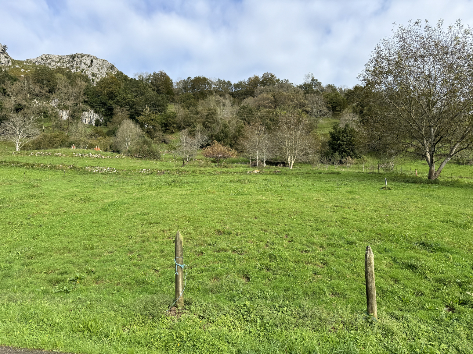 FINCA EN VENTA EN MIERA