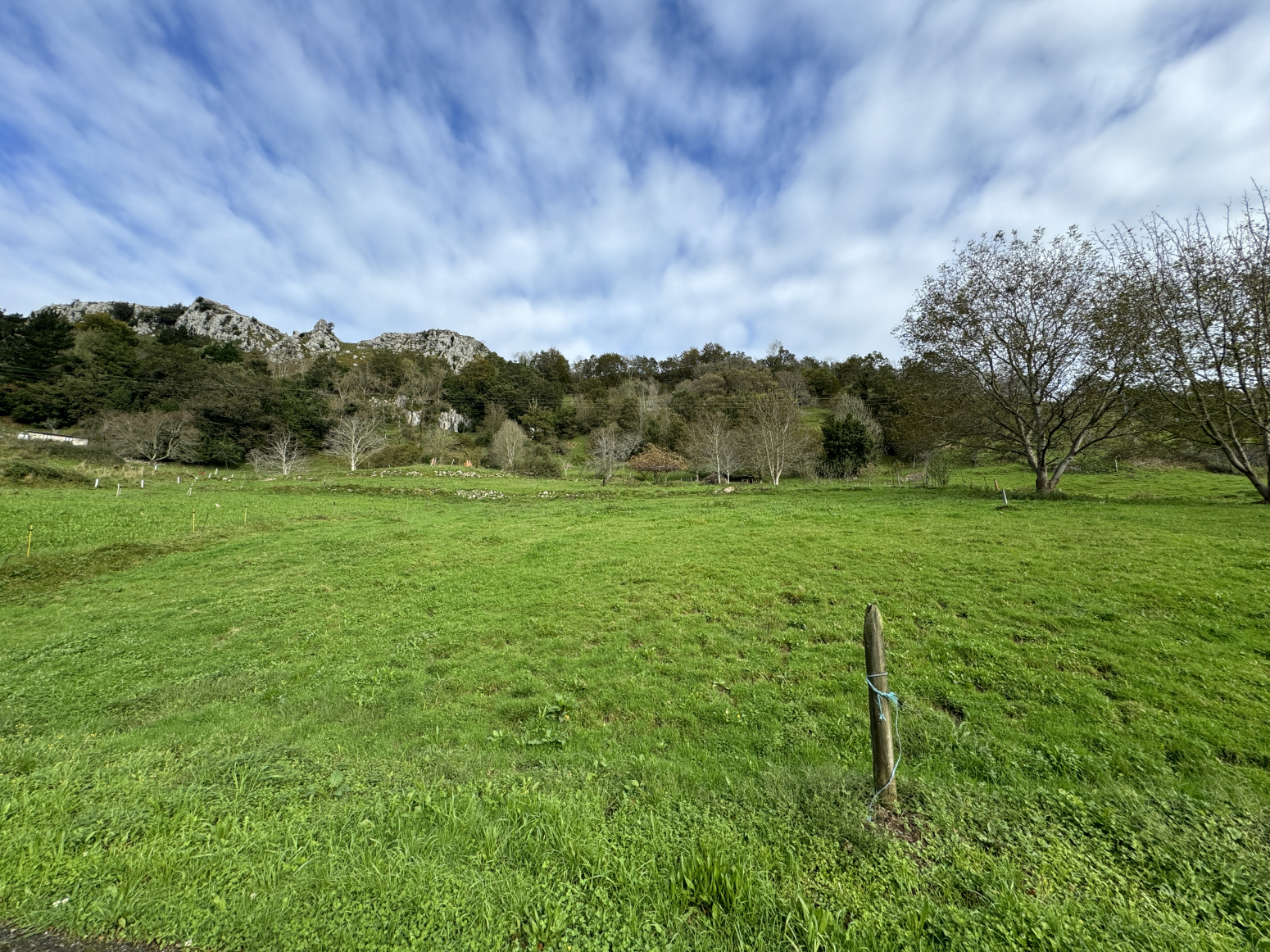 FINCA EN VENTA EN MIERA