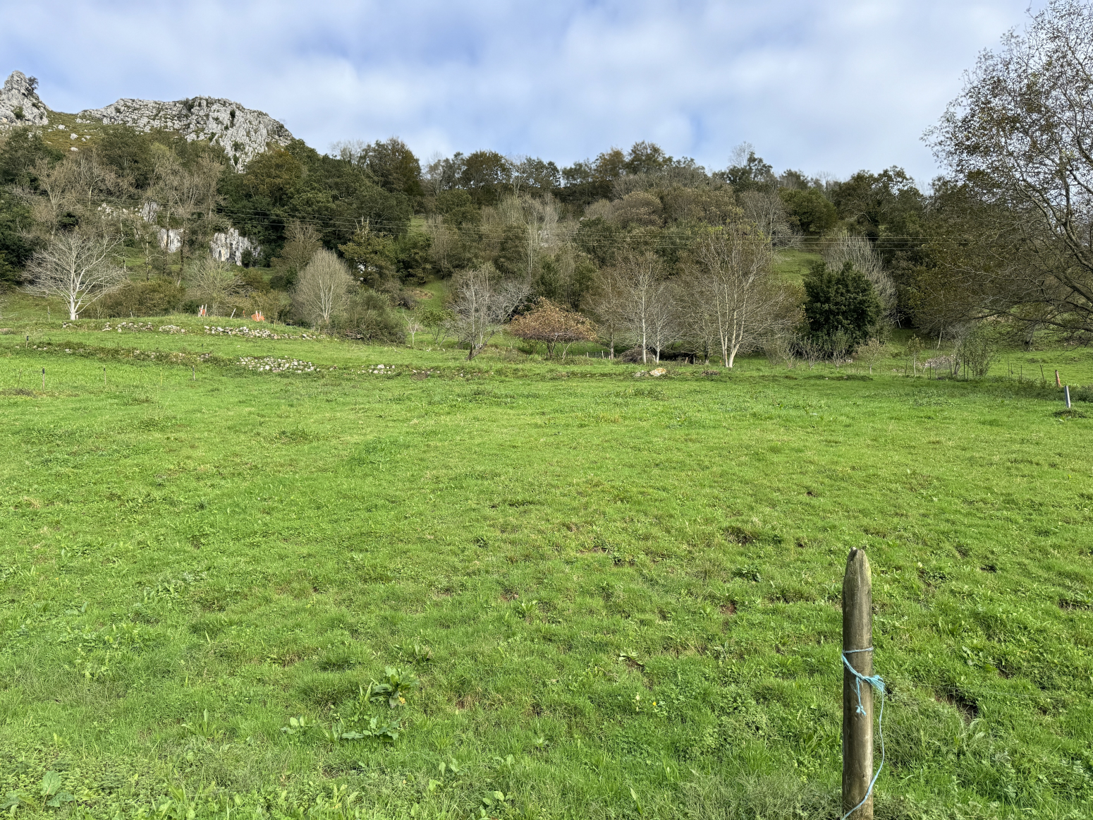 FINCA EN VENTA EN MIERA