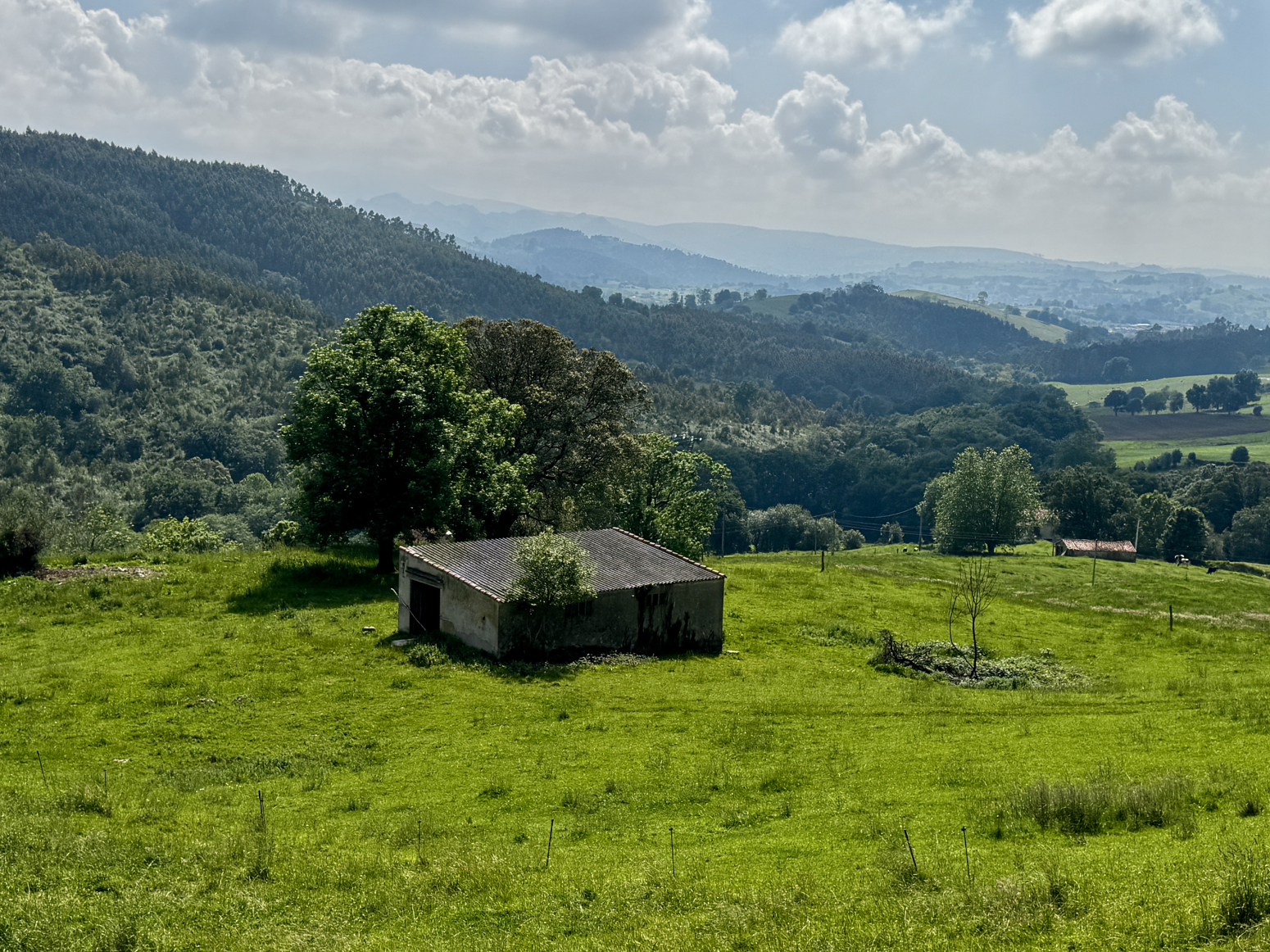PRECIOSA FINCA CON CABAÑA EN RIBAMONTAN AL MONTE