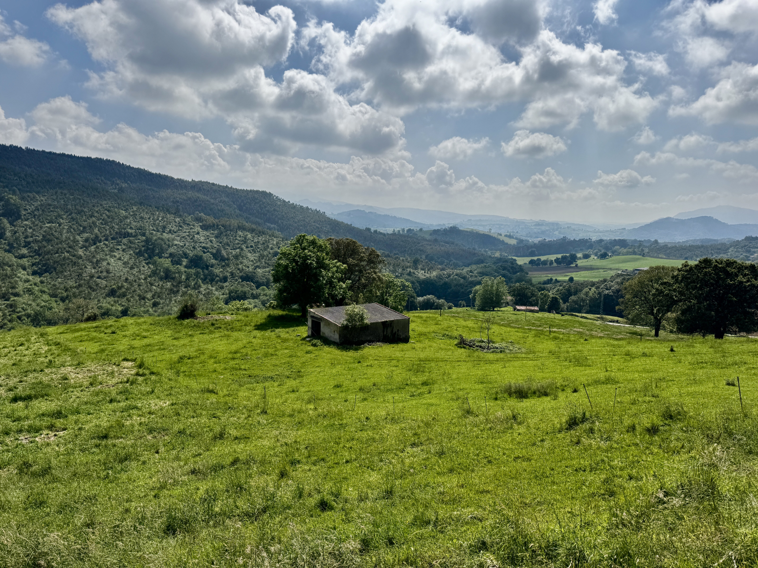 PRECIOSA FINCA CON CABAÑA EN RIBAMONTAN AL MONTE