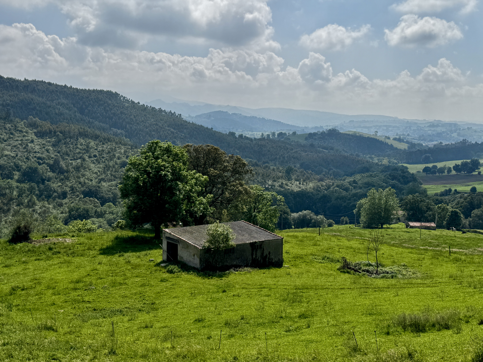 PRECIOSA FINCA CON CABAÑA EN RIBAMONTAN AL MONTE