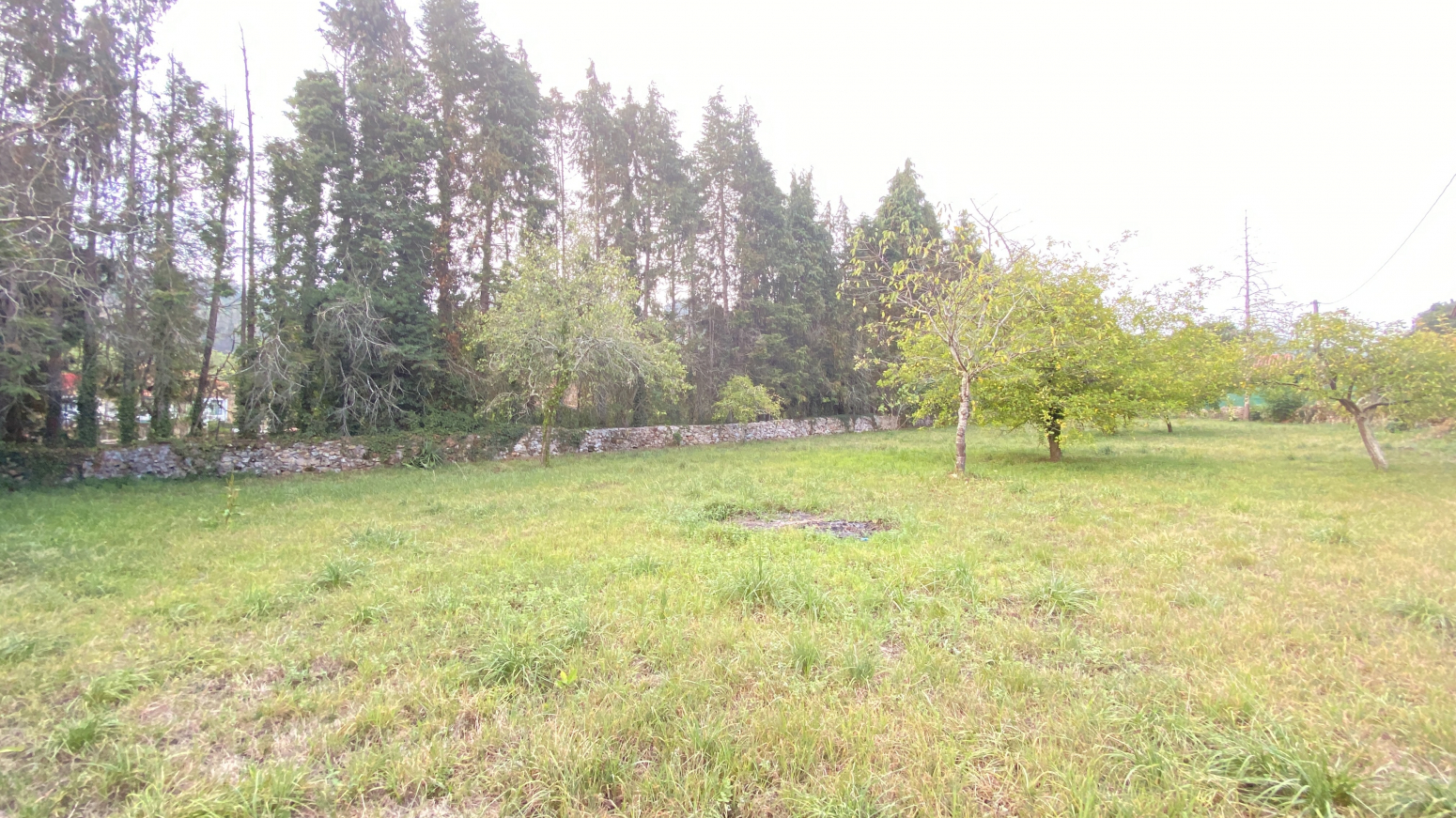 CASA Y FINCA URBANA EN Bº ARRIBA-LA CAVADA-RIOTUERTO