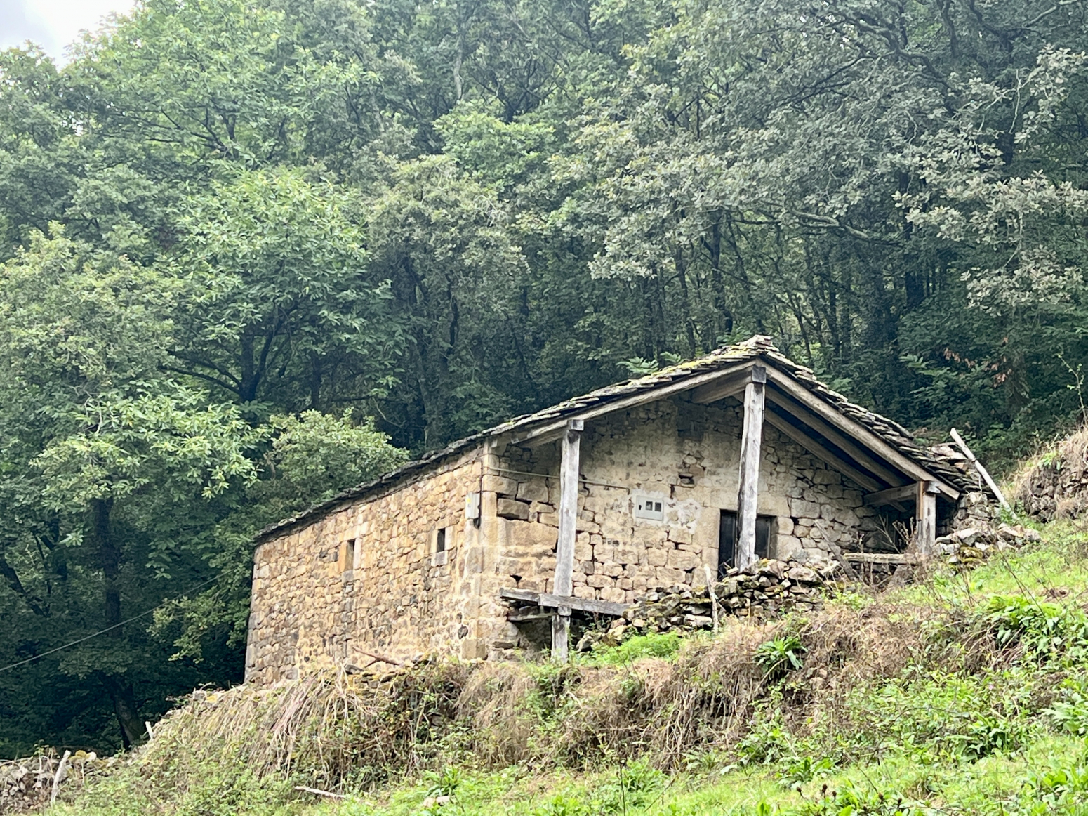 PRECIOSO MOLINO PARA RESTAURAR EN SAN PEDRO DEL ROMERAL