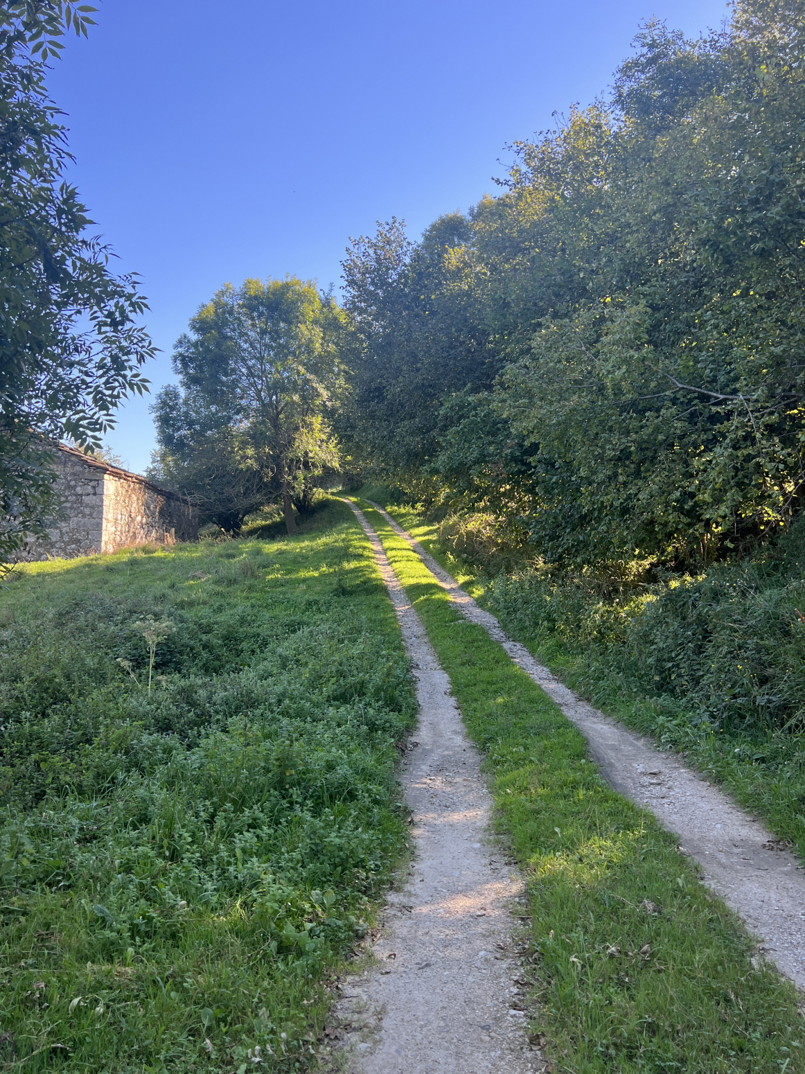 CABAÑA PASIEGA ADOSADA PARA RESTAURAR