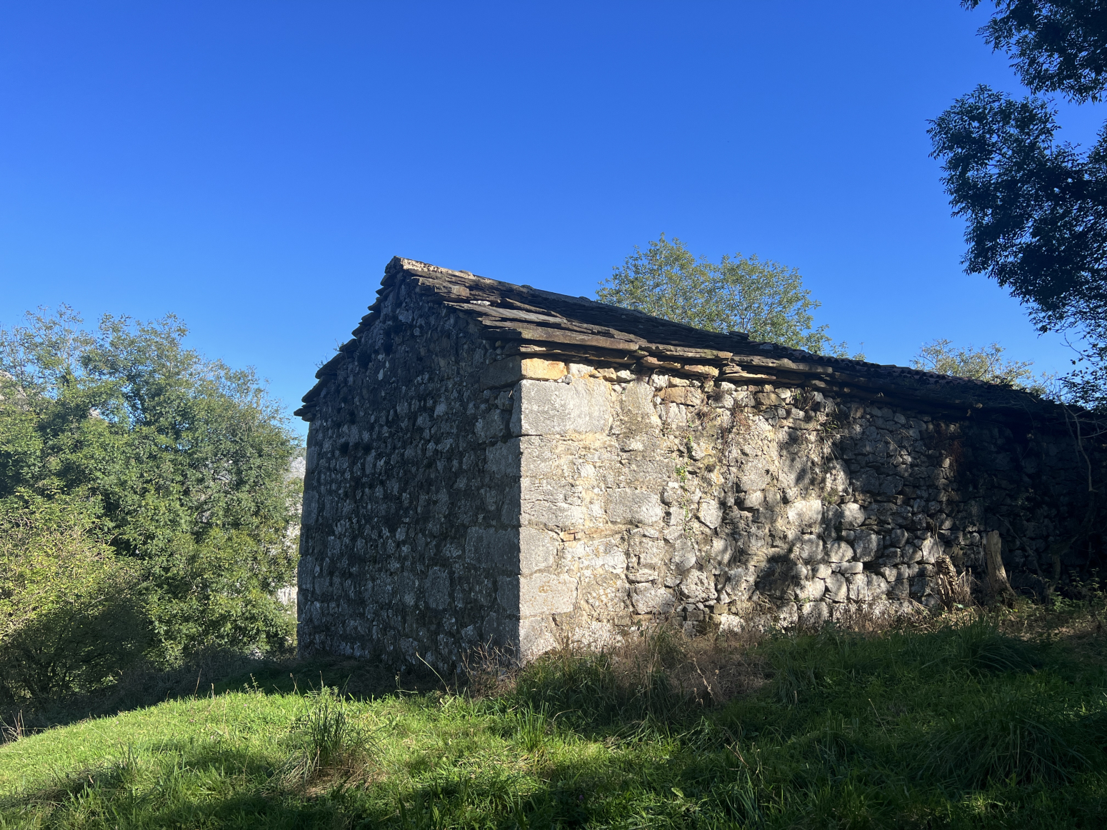 CABAÑA PASIEGA ADOSADA PARA RESTAURAR
