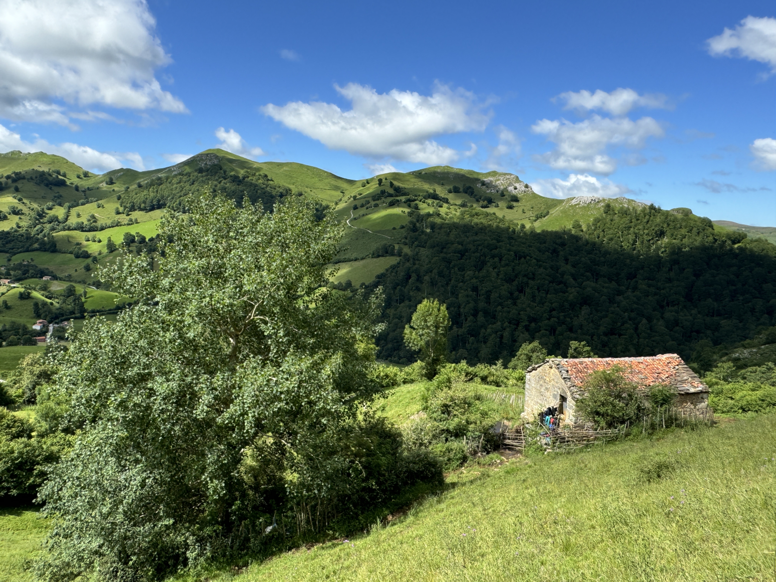 FINCA CON 3 CABAÑAS PARA RESTAURAR