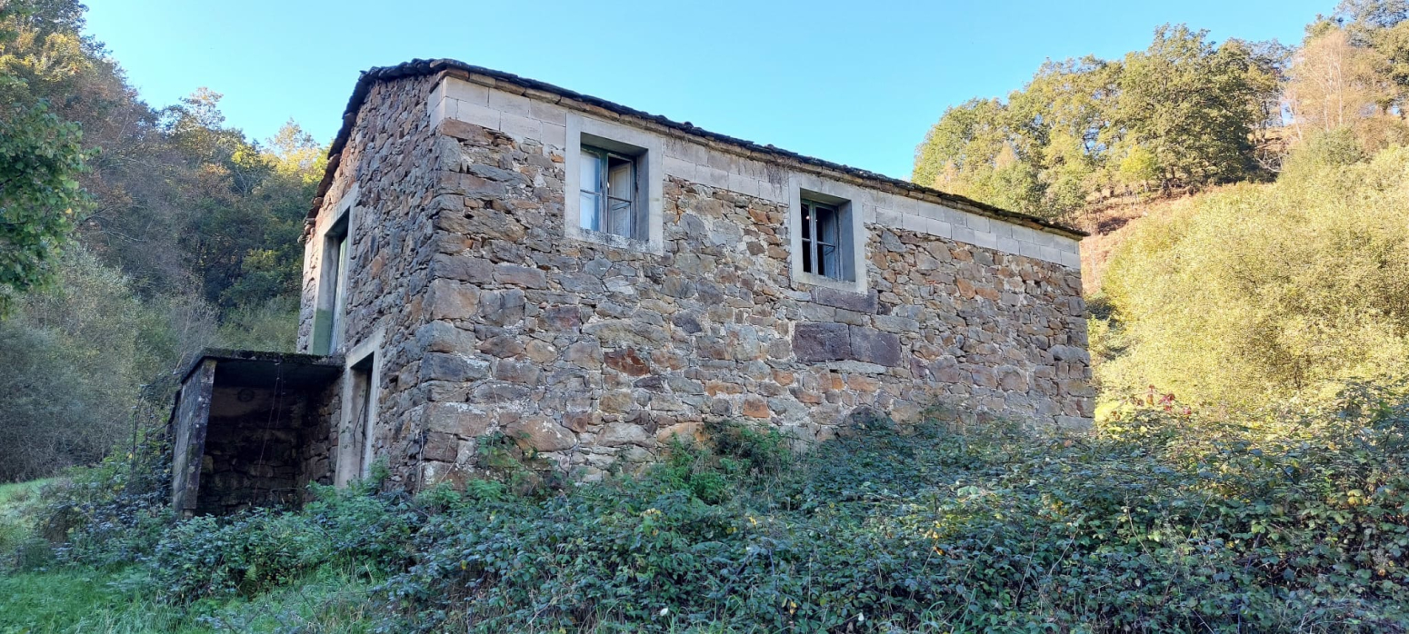 PRECIOSA CABAÑA PARA RESTAURAR EN SAN RQOUE DE RIOMIERA