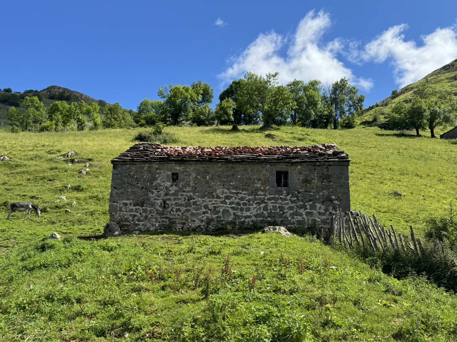FINCA CON 3 CABAÑAS PARA RESTAURAR