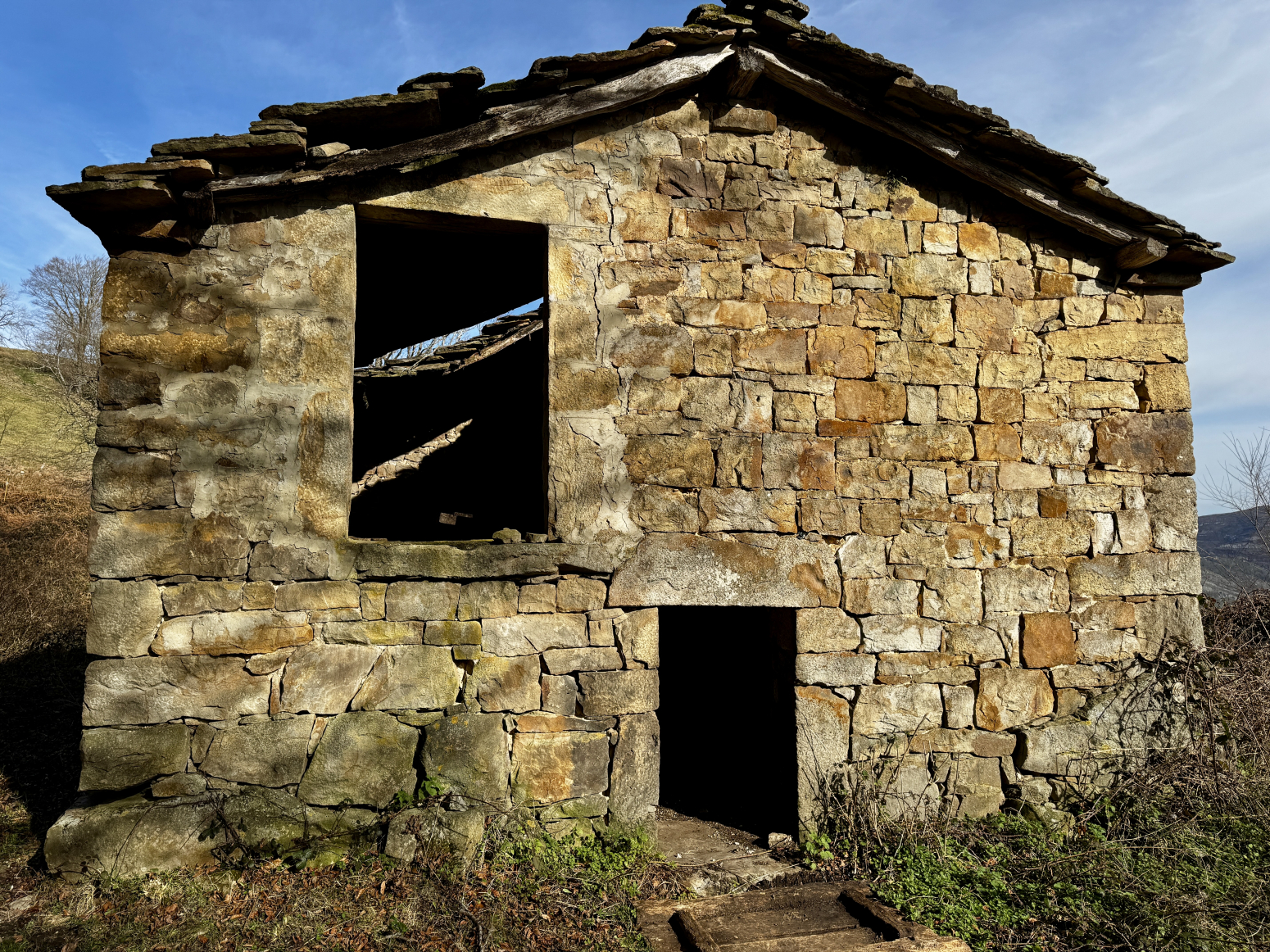 CABAÑA PASIEGA EN SAN ROQUE DE RIOMIERA