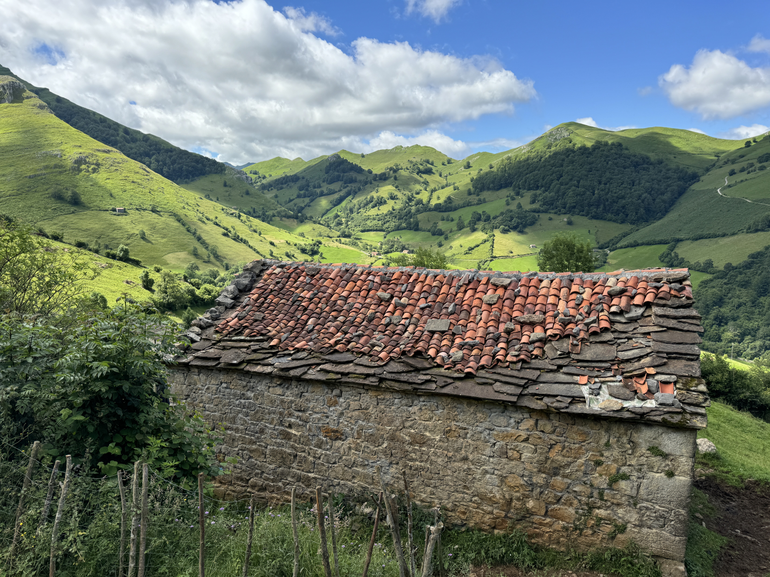 FINCA CON 3 CABAÑAS PARA RESTAURAR