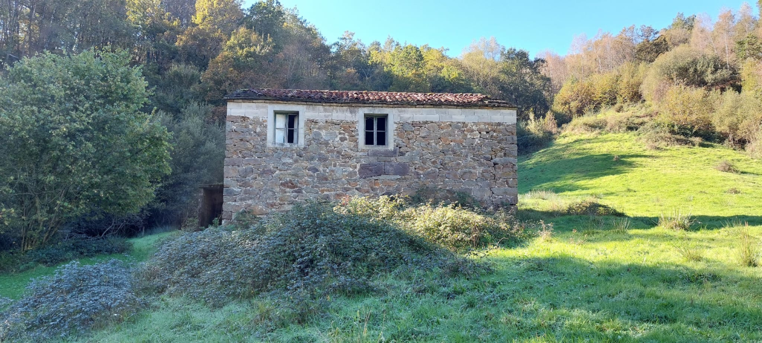 PRECIOSA CABAÑA PARA RESTAURAR EN SAN RQOUE DE RIOMIERA