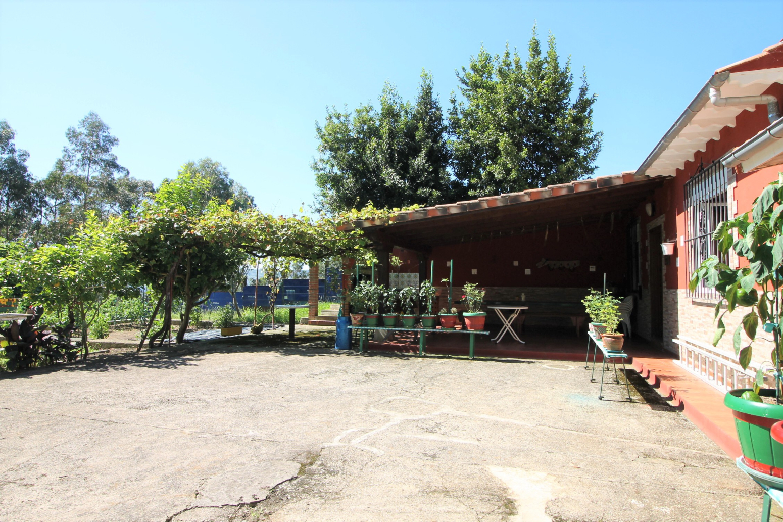 Terreno rústico con Txoco