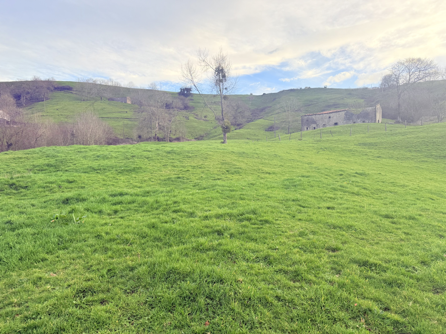 Finca Esles 