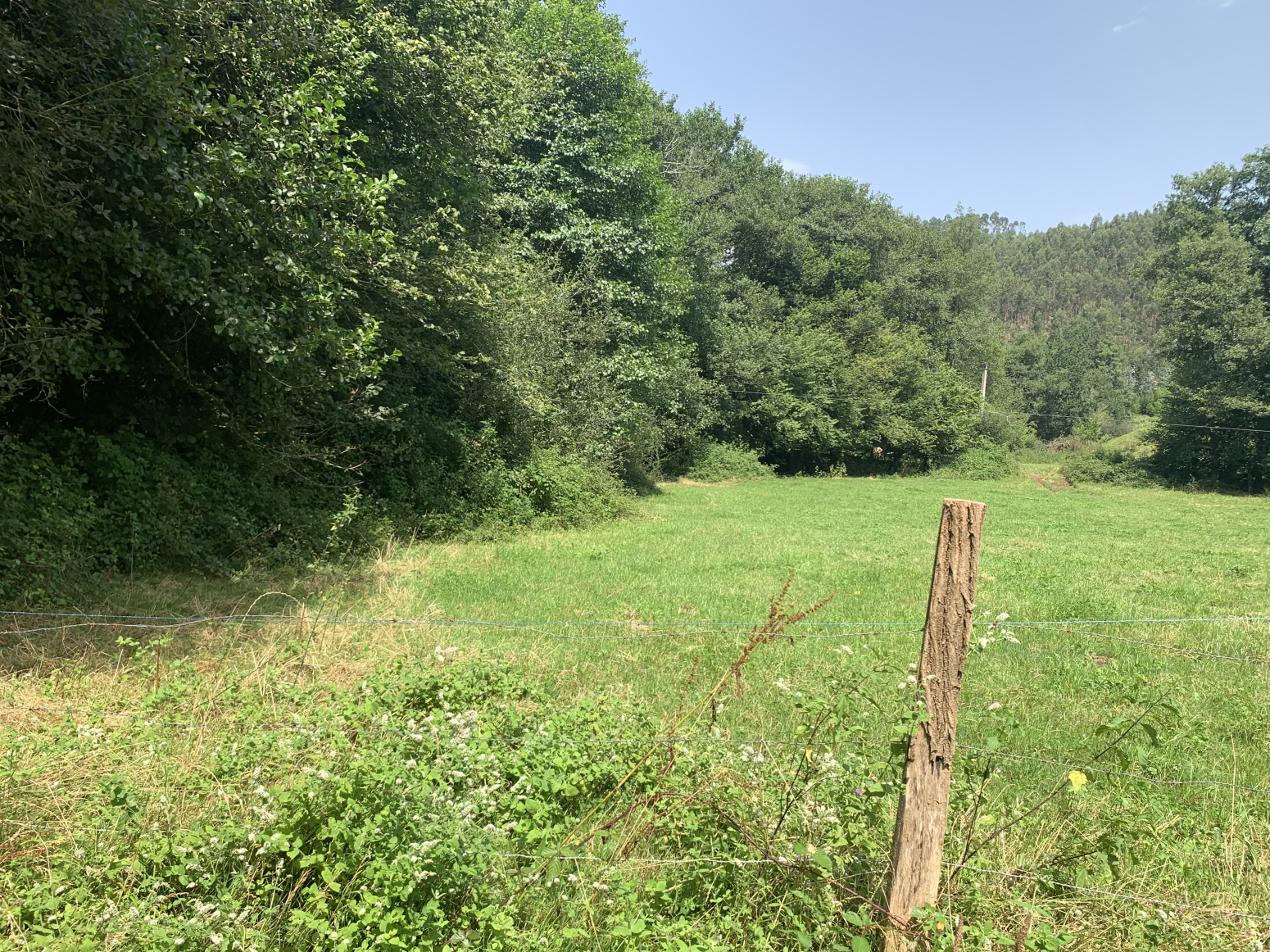 Finca en venta en Riosapero