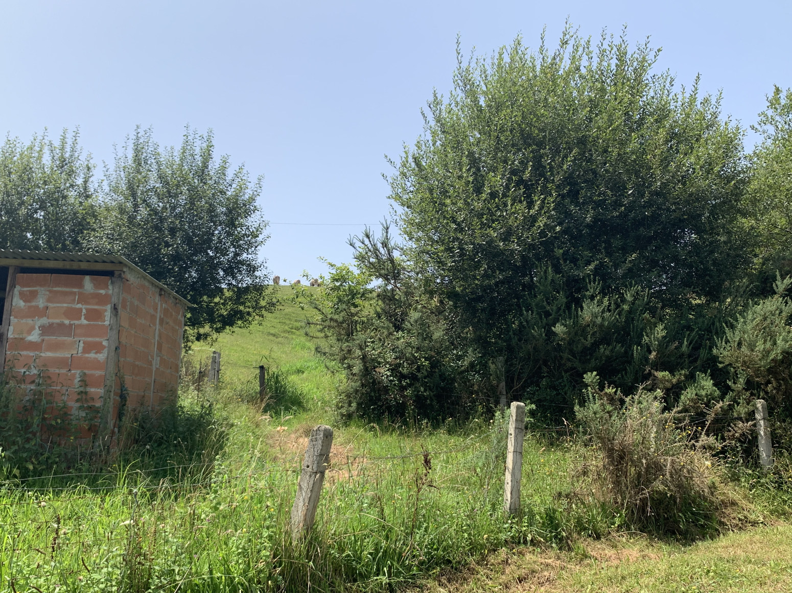 Finca Riosapero 