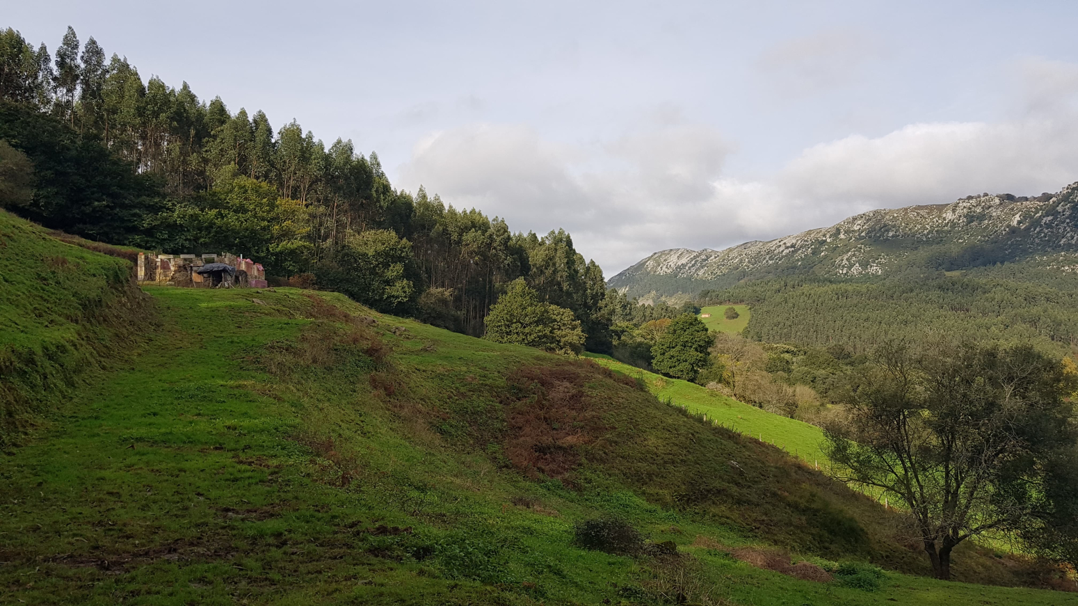 cabaña a reformar