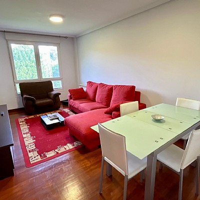 Se vende luminoso piso en Hoznayo, con piscina y muy bien ubicado. Se vende luminoso piso en Hoznayo, con piscina y muy bien ubicado.