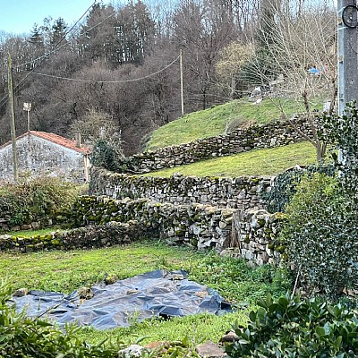 Conjunto de 2 chalets pareados con proyecto visado y licencia para reformar y con parcela de 2000 metros en plena naturaleza