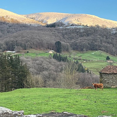 Conjunto de 2 chalets pareados con proyecto visado y licencia para reformar y con parcela de 2000 metros en plena naturaleza
