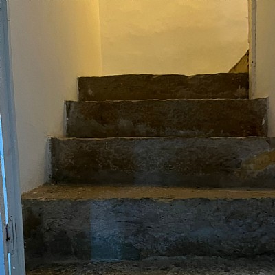 Conjunto de 2 chalets pareados con proyecto visado y licencia para reformar y con parcela de 2000 metros en plena naturaleza