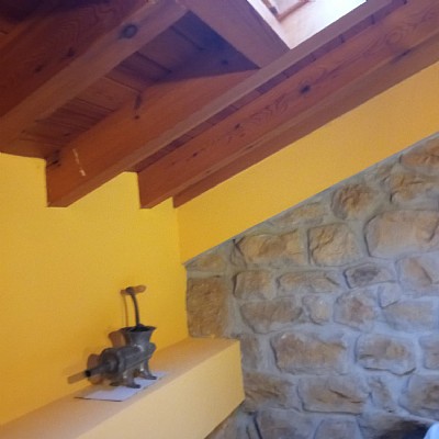 Conjunto de 2 chalets pareados con proyecto visado y licencia para reformar y con parcela de 2000 metros en plena naturaleza