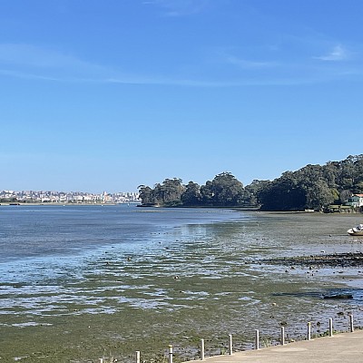 Parcela de 1600 metros apta para edificar vivienda en Pontejos