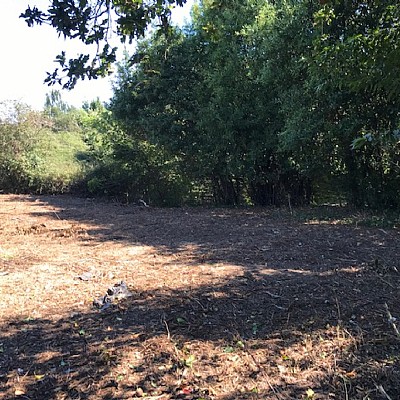 Parcela de 1600 metros apta para edificar vivienda en Pontejos