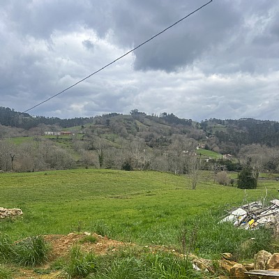 Conjunto de 2 chalets pareados con proyecto visado y licencia para reformar y con parcela de 2000 metros en plena naturaleza