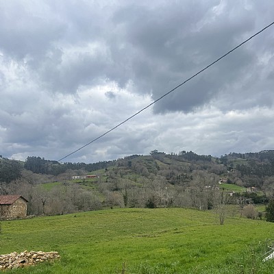 Conjunto de 2 chalets pareados con proyecto visado y licencia para reformar y con parcela de 2000 metros en plena naturaleza