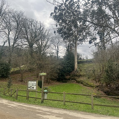 Conjunto de 2 chalets pareados con proyecto visado y licencia para reformar y con parcela de 2000 metros en plena naturaleza