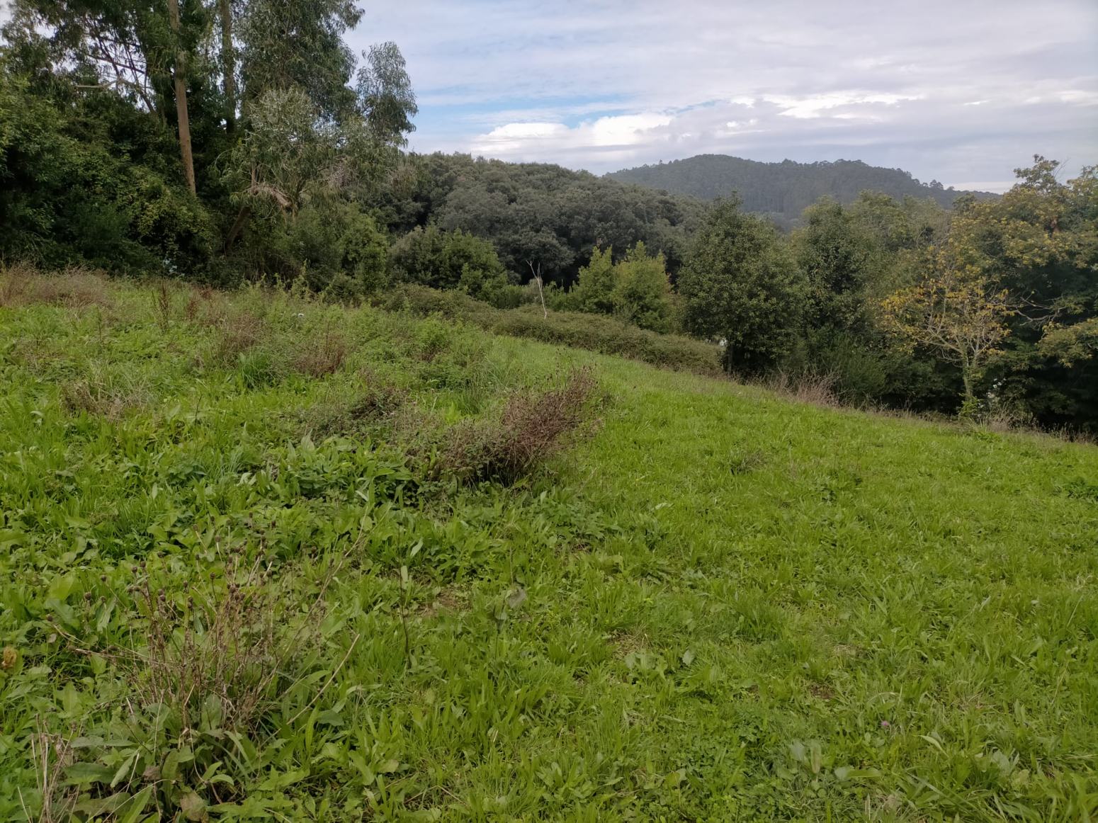 FINCA EDIFICABLE EN ESCOBEDO