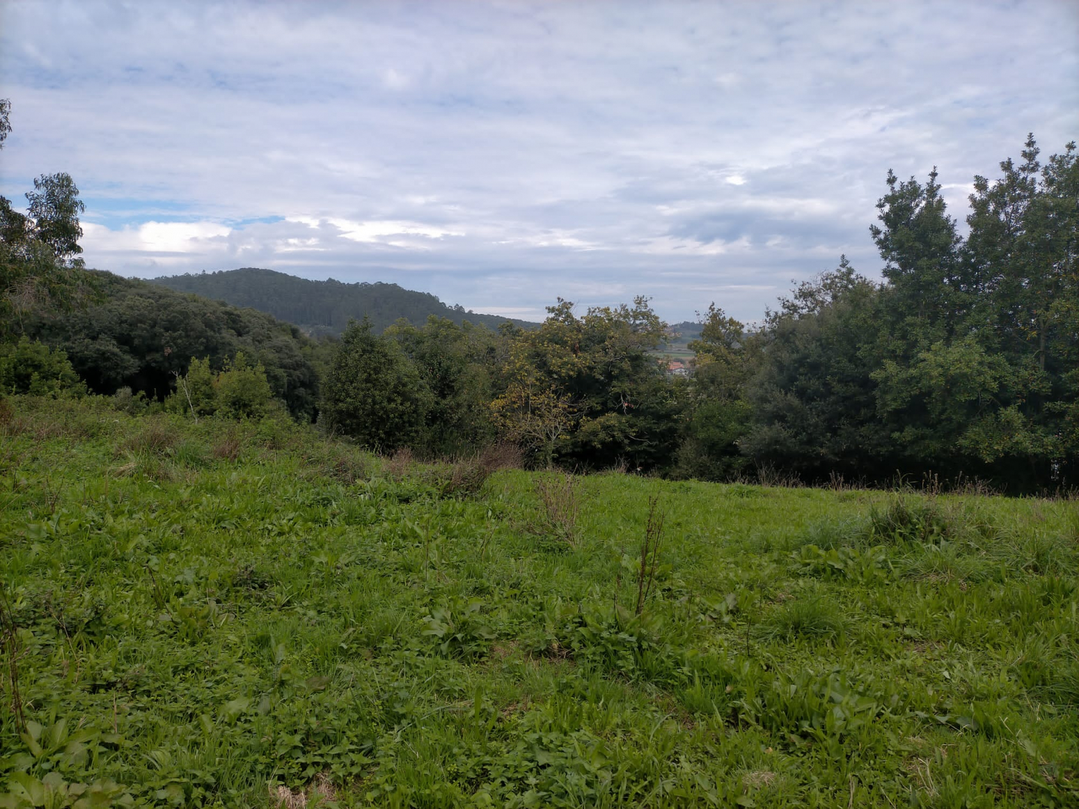 FINCA EDIFICABLE EN ESCOBEDO