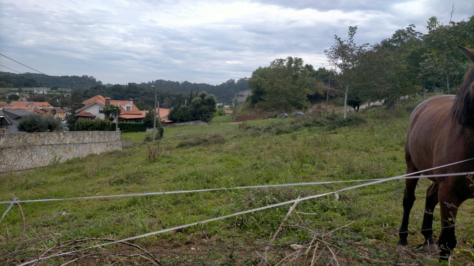 FABULOSA FINCA EN ESCOBEDO
